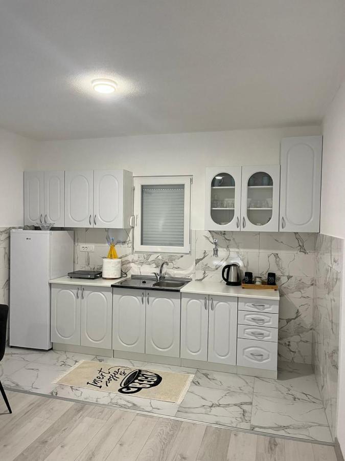 Knezevic Apartman Podgoriţa Exterior foto