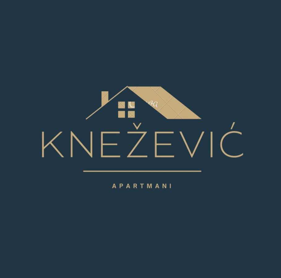 Knezevic Apartman Podgoriţa Exterior foto