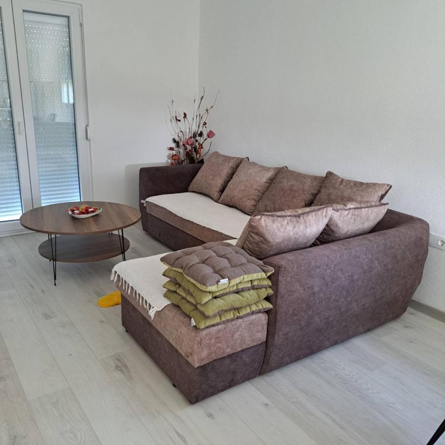 Knezevic Apartman Podgoriţa Exterior foto