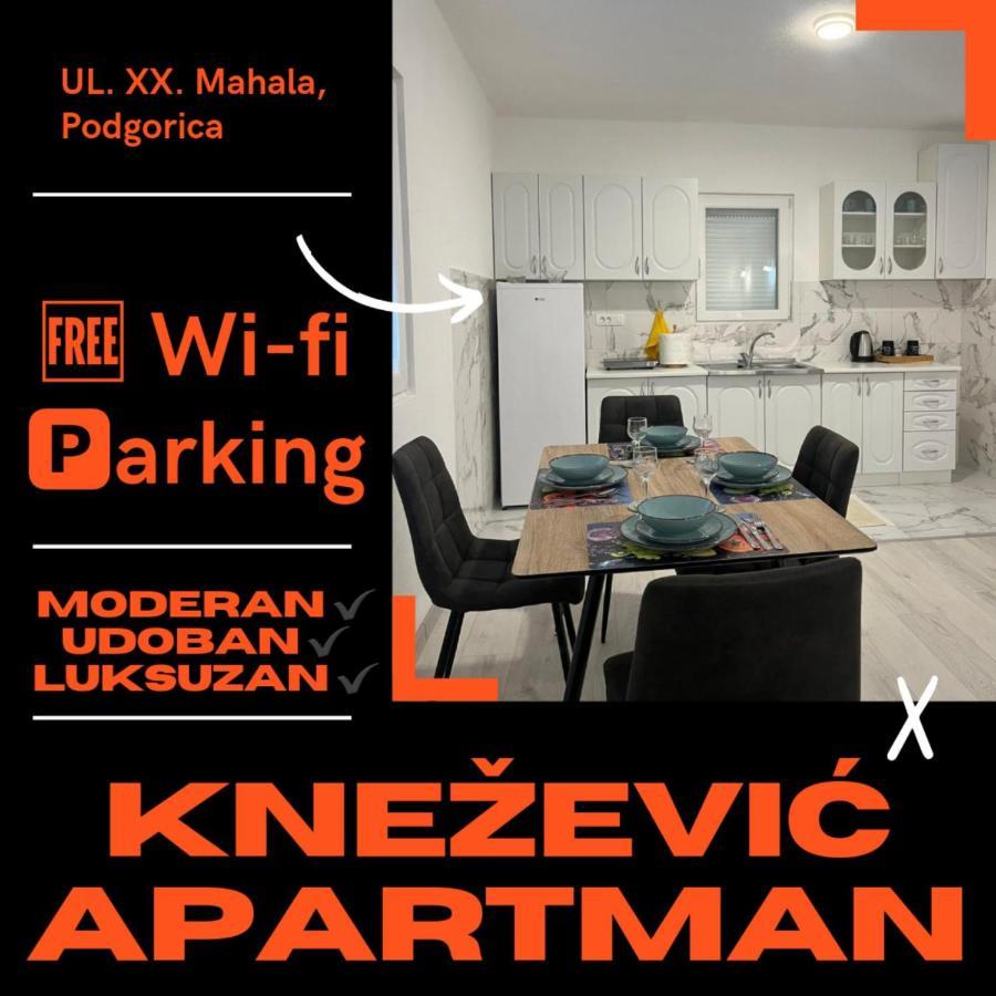 Knezevic Apartman Podgoriţa Exterior foto
