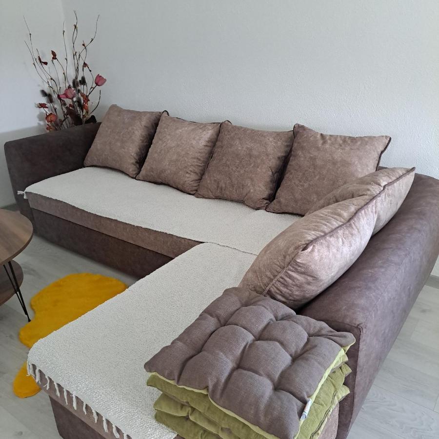 Knezevic Apartman Podgoriţa Exterior foto