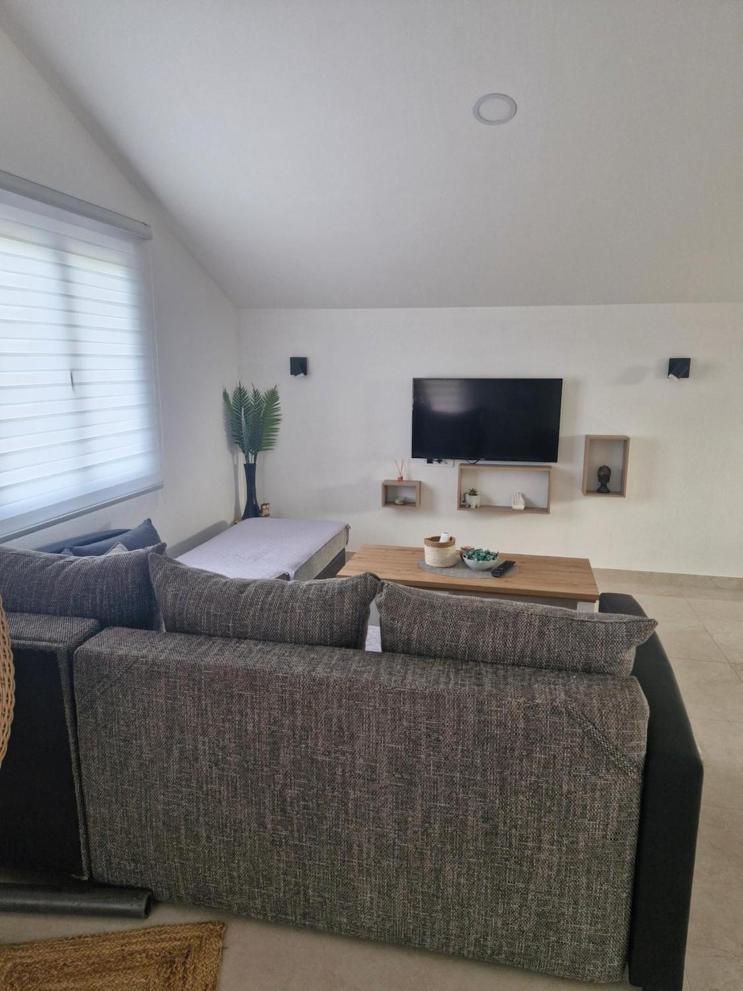 Knezevic Apartman Podgoriţa Exterior foto